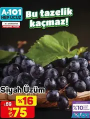 SİYAH ÜZÜM KG SİYAH ÜZÜM KG